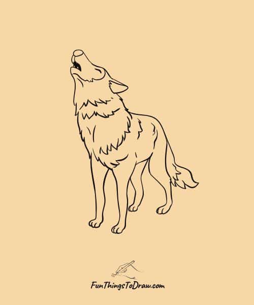 Wolf drawing