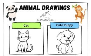 50 Animal Drawings
