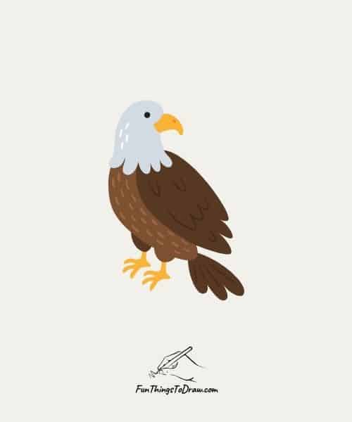 Drawing of Bald eagle - Easy independence day drawings