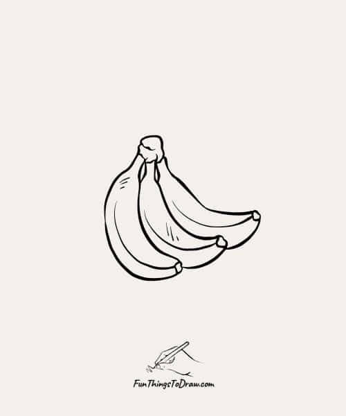 Drawing of Bananas