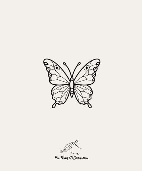 Easy Butterfly Drawing