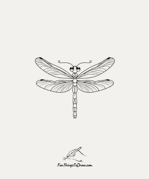 Dragonfly drawing