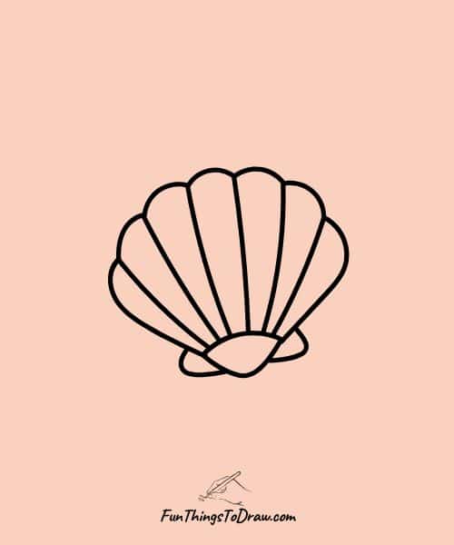 Drawing of Seashell