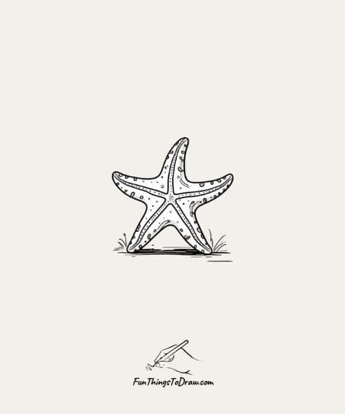 Starfish Drawing - Cool July Drawing Ideas