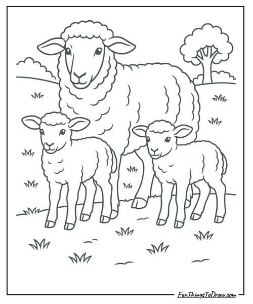Ewe with twin lambs coloring page