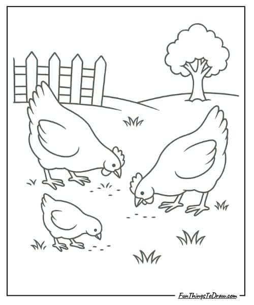 Free-range chickens pecking coloring sheet