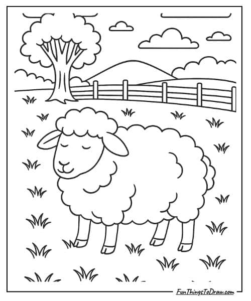 Animal coloring sheets (Sheep with fluffy wool)