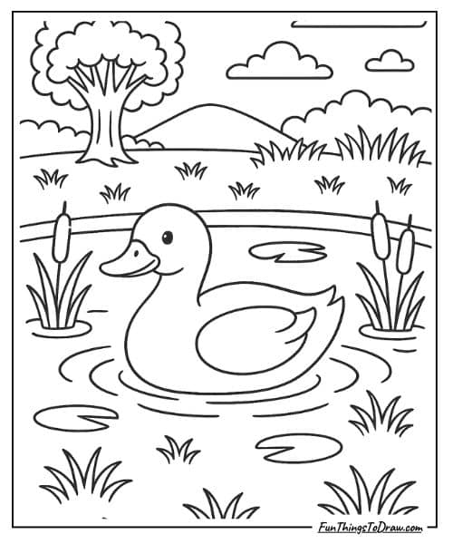 Duck swimming in pond coloring sheet
