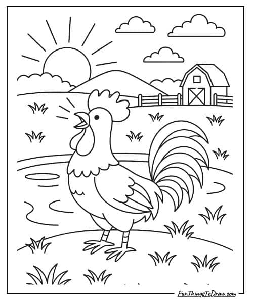 Rooster crowing in the morning