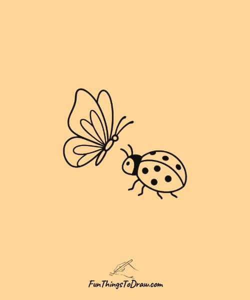 Drawing and butterfly and a ladybug