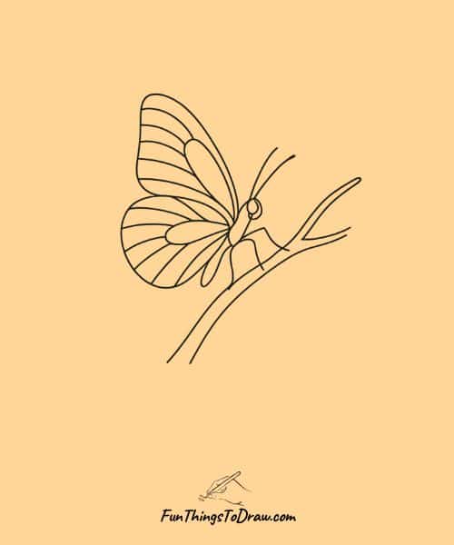 Drawing of butterfly perched on a branch