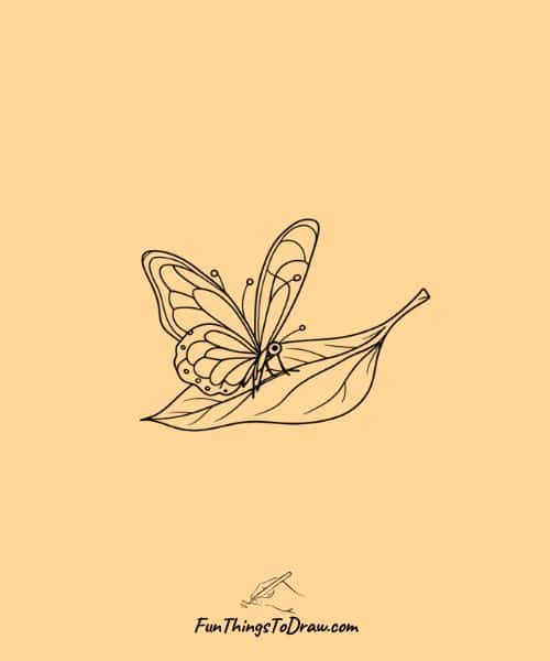 Drawing of butterfly sitting on a leaf