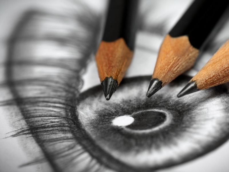 Drawing