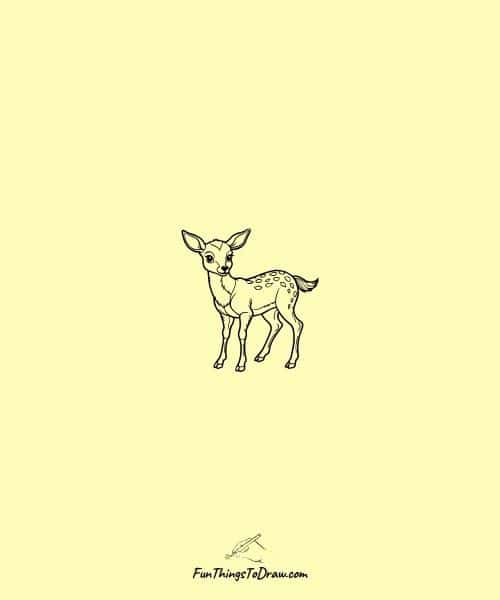 Small Drawing of Fawn