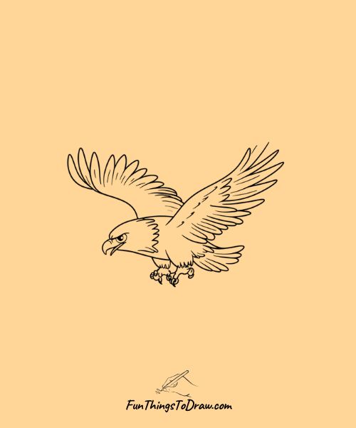 Flying Eagle Drawing