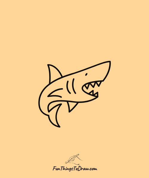 Drawing of a shark