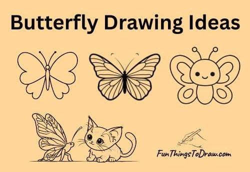 Easy Butterfly Drawing Ideas