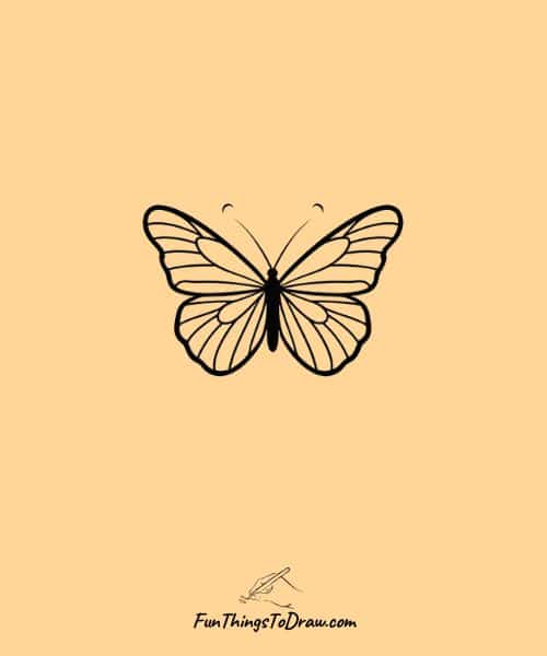 Simple Butterfly Drawing