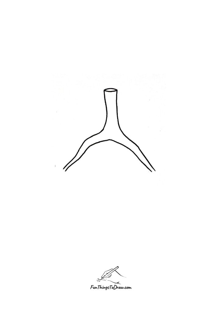 how to draw lungs step 3