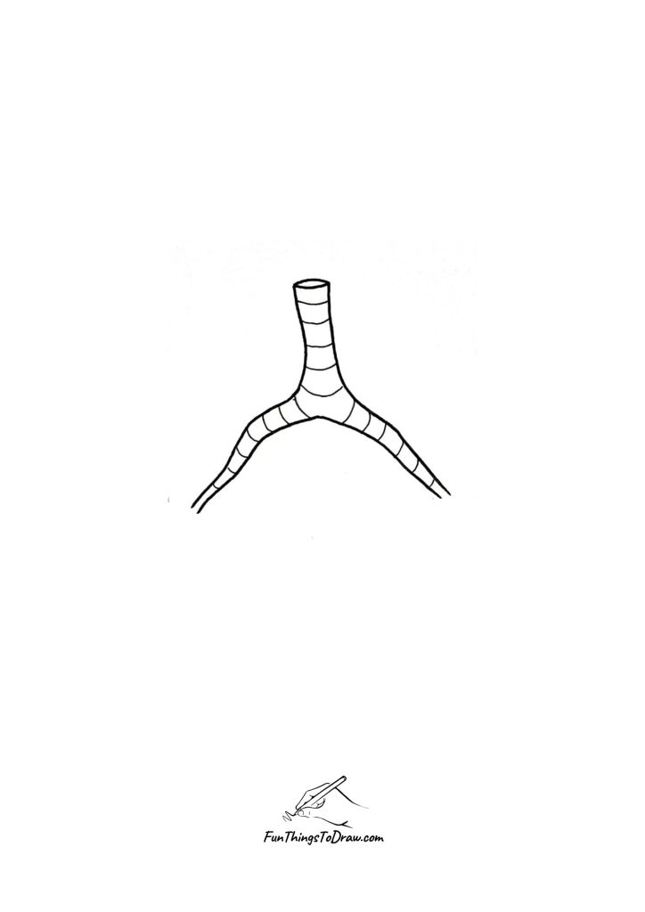 how to draw lungs step 4