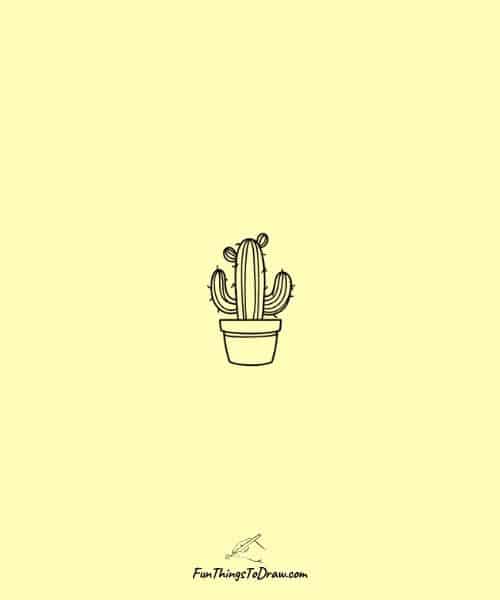 mini cactus drawing