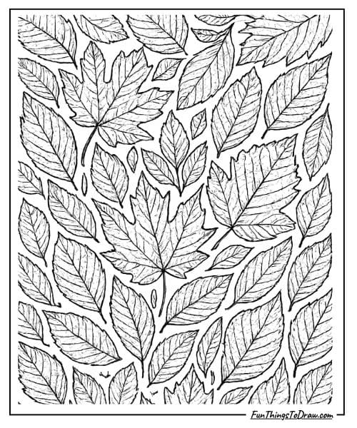 Autumn Leaves with Vein Details Coloring Page