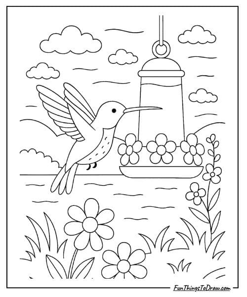 Hummingbird at feeder coloring page