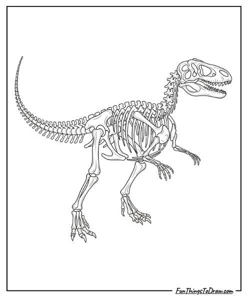 Dinosaur skeleton coloring page