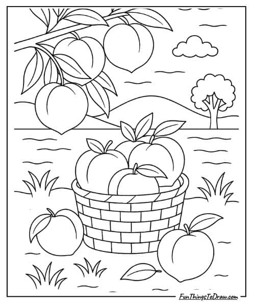 Fresh peaches coloring page