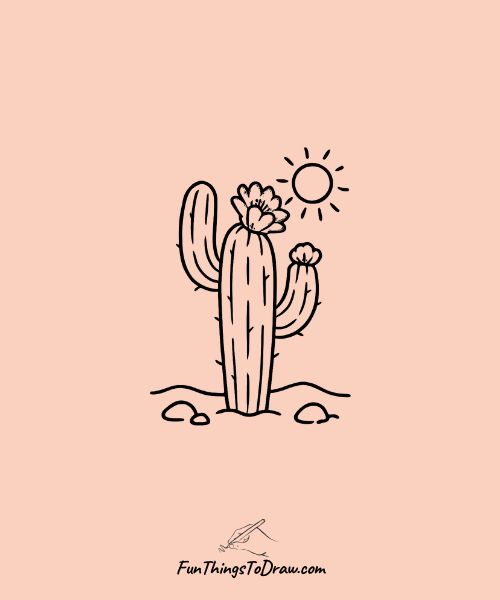Cactus Flower Blooming Drawing