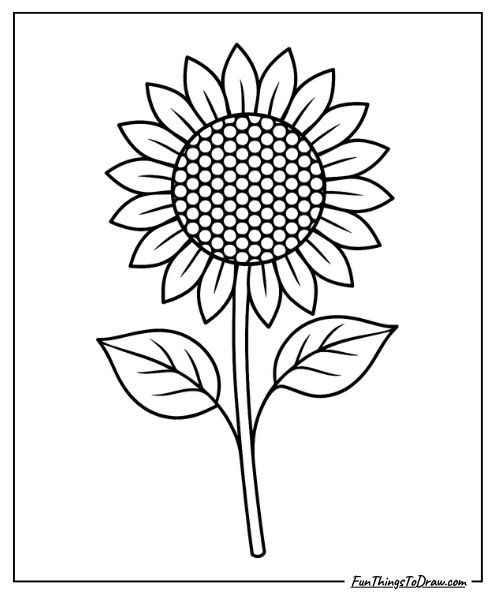 Sunflower coloring page