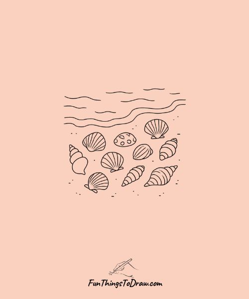 Drawing of Seashells on Shore