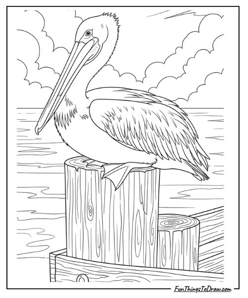 Pelican on pier post coloring page
