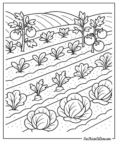 Vegetable garden rows coloring page