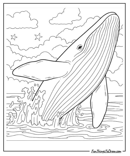 Whale breaching surface coloring sheet
