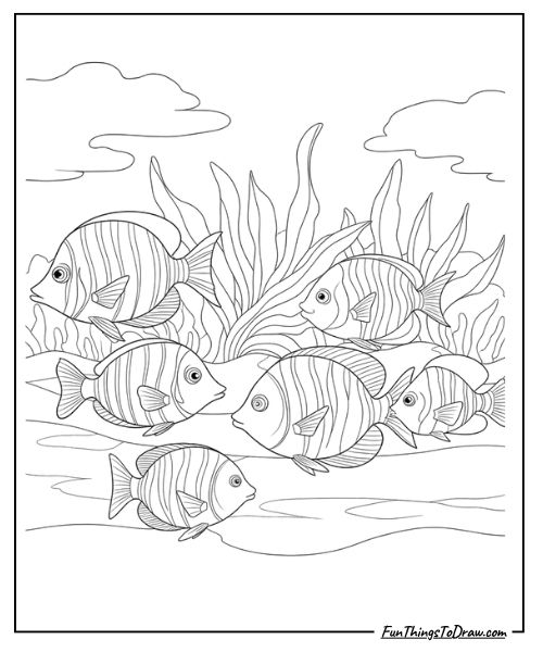 Tropical fish school coloring page