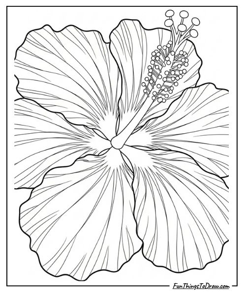 Hibiscus flower close-up coloring page