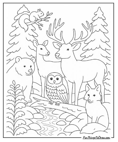 Forest Wildlife Scene Coloring Page for Adults