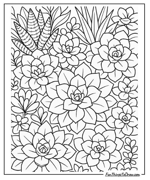 Succulent Plant Coloring Page  for Adults