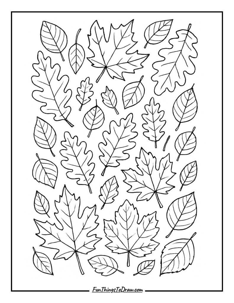 Autumn Leaves Collection Coloring Page