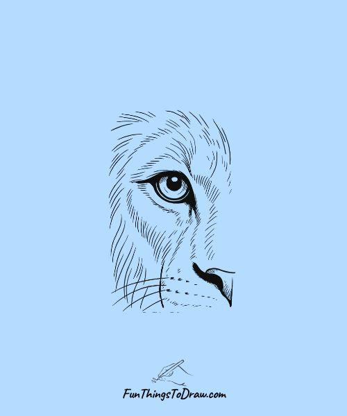 Drawing of Realistic Lion Eye Close-up