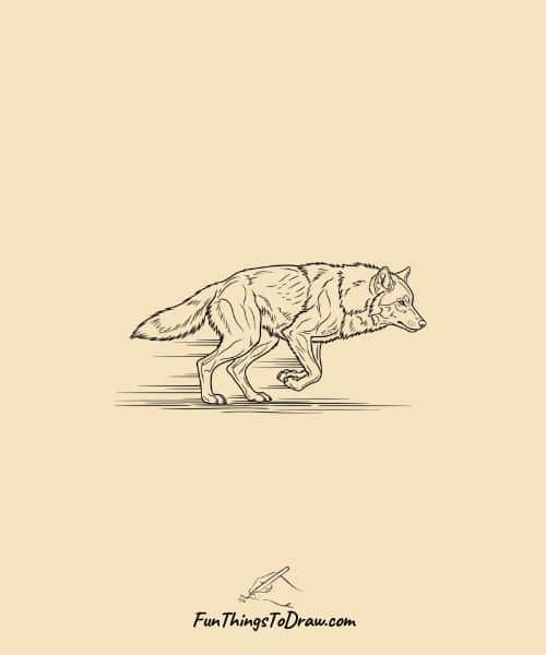 Wolf Running Drawing Idea