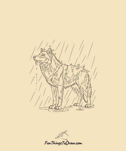 Drawing of Wolf in Rain
