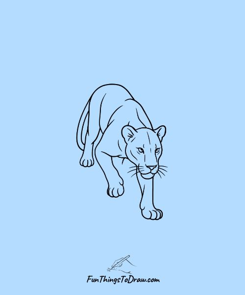 Lioness in Hunting Pose
