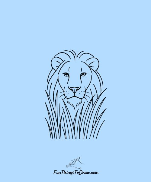 Lion Behind Tall Grass Drawing
