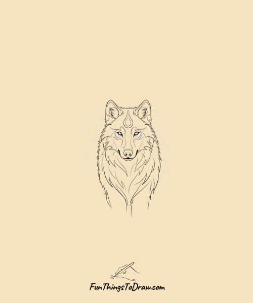 Wolf and Spirit Animal