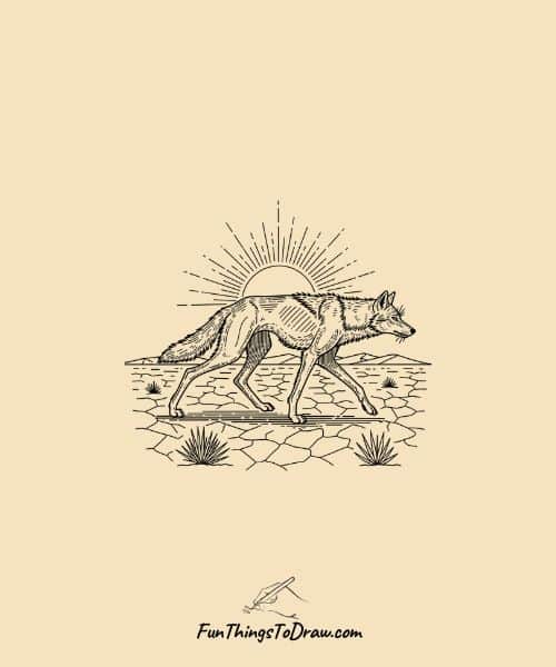 Drawing of Wolf in Desert