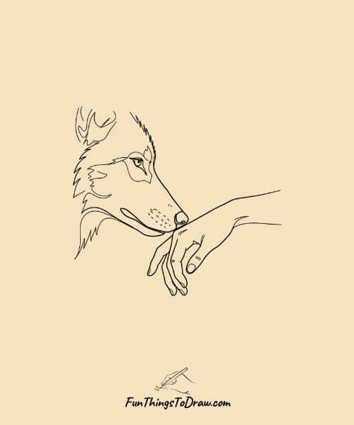 Wolf and Human Hand