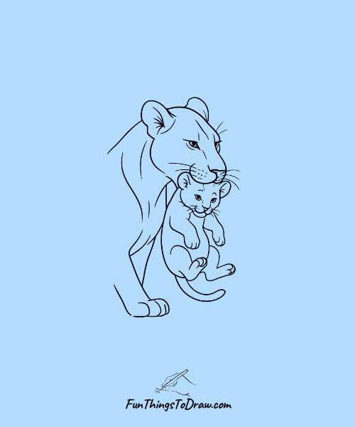 Lion Mother Carrying Cub