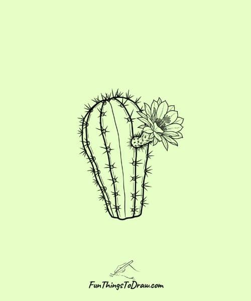 Drawing of Spiky Cactus with a Flower